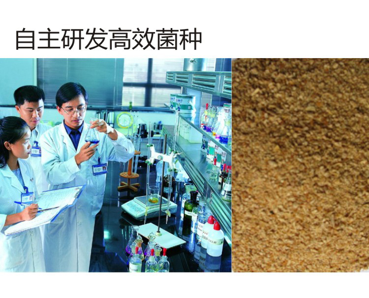 餐廚垃圾處理設備